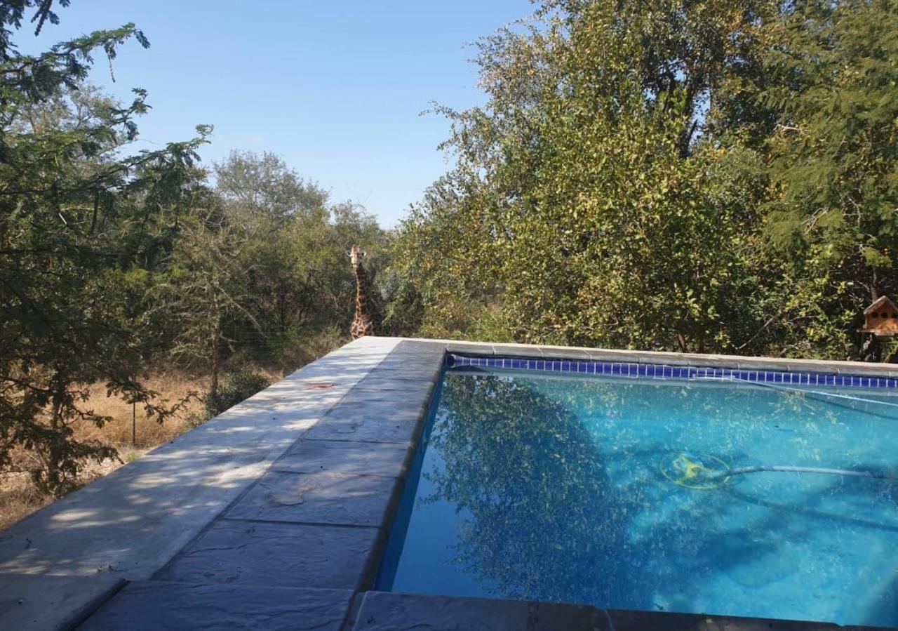 Lionsview Private Lodge - 6 Lions 玛洛斯帕克 外观 照片